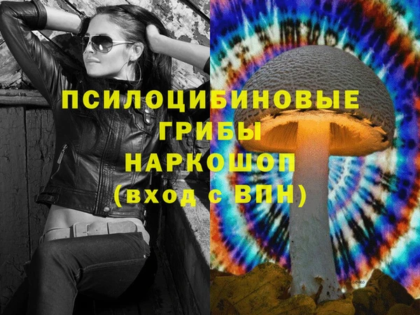 apvp Бородино